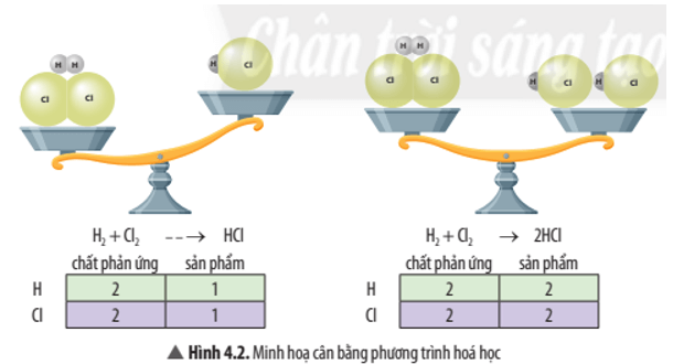 Quan sát Hình 4.2, hãy cho biết phương trình nào đã được cân bằng. Vì sao?