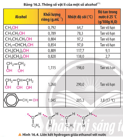 Từ thông tin Bảng 16.2 và Hình 16.4, cho biết khả năng hoà tan trong nước của alcohol