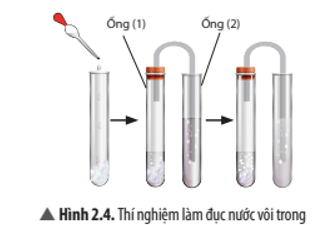 Hãy nêu hiện tượng xảy ra ở ống nghiệm (1) và ống nghiệm (2)