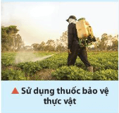 Hiện nay, vì yếu tố lợi nhuận mà vấn đề lạm dụng thuốc bảo vệ thực vật