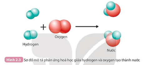 Quan sát Hình 2.3 và trả lời câu hỏi: