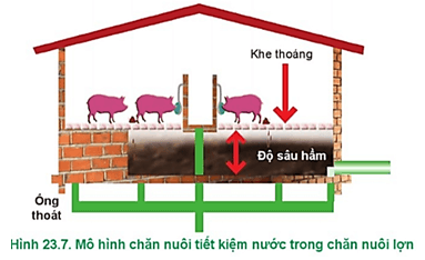  Hãy mô tả mô hình chăn nuôi tiết kiệm nước ở Hình 23.7