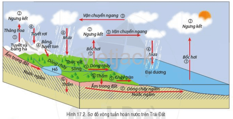 Đọc hình 17.2, hãy mô tả lại vòng tuần hoàn nước trên Trái Đất theo thứ tự từ (1) đến (7)