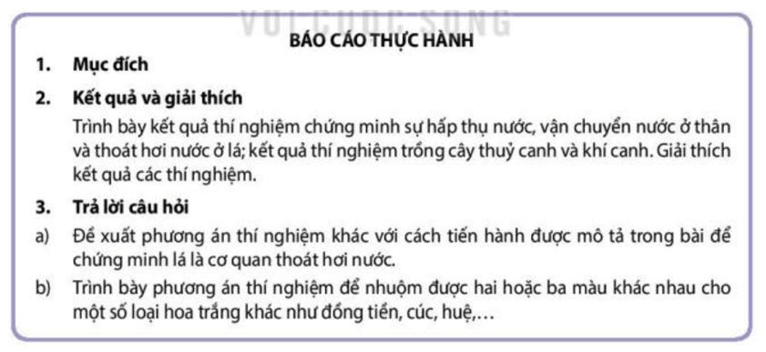 Học sinh viết báo cáo thực hành theo các nội dung sau