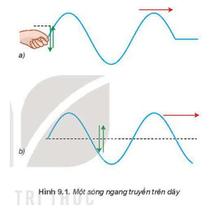 Sóng mặt nước và sóng âm truyền trong không khí có đặc điểm gì chung và riêng?