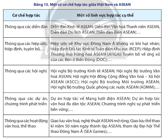 Dựa vào bảng 13 và thông tin trong bài, hãy: Chứng minh Việt Nam có sự hợp tác đa dạng