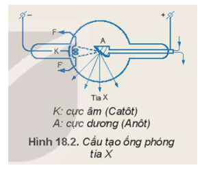 Để chuẩn đoán hình ảnh trong y học người ta thường sử dụng tia X (hay tia Rơn-ghen) để chụp X quang và chụp CT