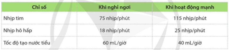 Bảng dưới đây thể hiện một số thay đổi của cơ thể một người khỏe mạnh, bình thường khi hoạt động mạnh so với khi nghỉ ngơi