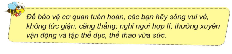 Tự nhiên xã hội lớp 3 Bài 16 trang 92 Câu hỏi | Cánh diều