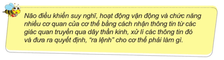 Tự nhiên xã hội lớp 3 Bài 17 trang 94 Câu hỏi | Cánh diều