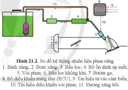 Quan sát hình 21.2, cho biết cấu tạo chung và nguyên lí làm việc của hệ thống