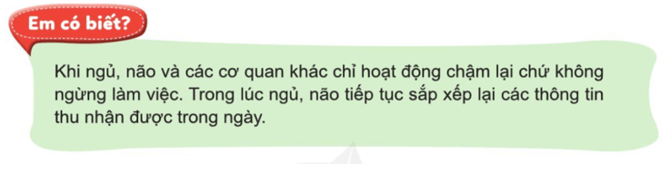 Tự nhiên xã hội lớp 3 Bài 17 trang 95 Câu hỏi | Cánh diều