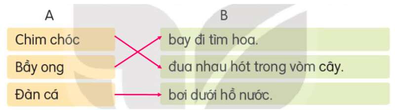 Luyện tập trang 14, 15, 16 Tiếng Việt lớp 3 Tập 1 | Kết nối tri thức (ảnh 3)