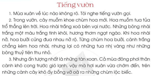 Tiếng vườn trang 21 - 22 - 23 Tiếng Việt lớp 2 Tập 2 | Cánh diều