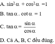 20 Bài tập trắc nghiệm Chương 1 Hình học 9 có đáp án