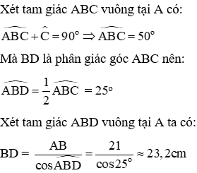 20 Bài tập trắc nghiệm Chương 1 Hình học 9 có đáp án