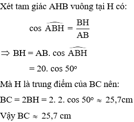 20 Bài tập trắc nghiệm Chương 1 Hình học 9 có đáp án