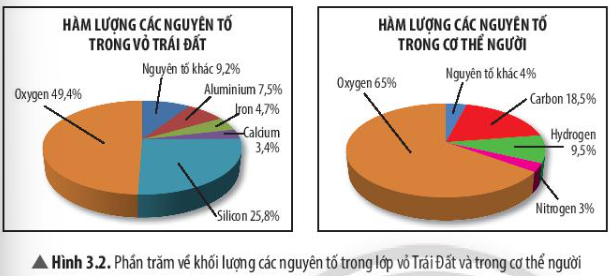  (ảnh 1)