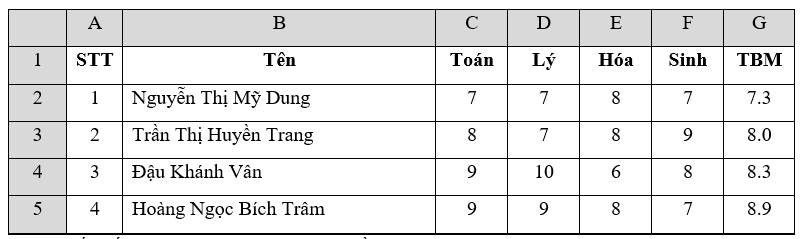 Đề thi Học kì 2 Tin học 7 có đáp án (Đề 4)