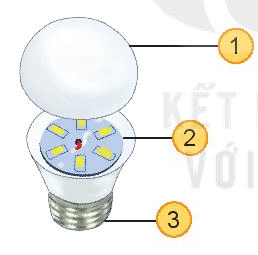 Đề thi Công nghệ lớp 6 Giữa kì 2 Kết nối tri thức năm 2023 có đáp án (3 đề)