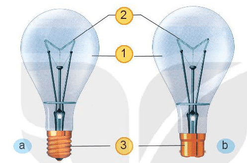 Đề thi Công nghệ lớp 6 Giữa kì 2 Kết nối tri thức năm 2023 có đáp án (3 đề)