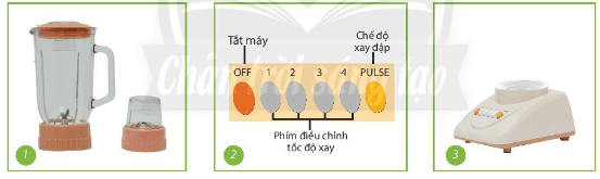 Đề thi Công nghệ lớp 6 Học kì 2 Chân trời sáng tạo năm 2023 có ma trận (3 đề)