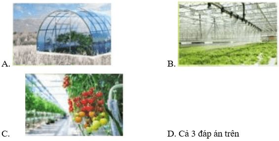 Đề thi Giữa kì 1 Công nghệ lớp 7 Cánh diều có đáp án (2 đề)