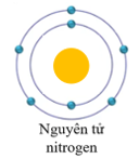 Đề thi Giữa kì 1 Khoa học tự nhiên lớp 7 Kết nối tri thức có đáp án (4 đề) (ảnh 2)