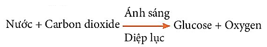 Đề thi Giữa kì 1 Khoa học tự nhiên lớp 7 Kết nối tri thức có đáp án (4 đề) (ảnh 4)