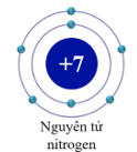 Đề thi Giữa kì 1 Khoa học tự nhiên lớp 7 Kết nối tri thức có đáp án (4 đề) (ảnh 1)