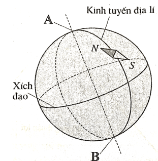 Đề thi Giữa kì 2 KHTN 7 Kết nối tri thức có đáp án (4 đề) | Khoa học tự nhiên 7