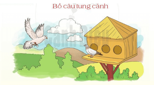 Bồ câu tung cánh trang 6 - 7 Tiếng Việt lớp 2 Tập 2 | Cánh diều