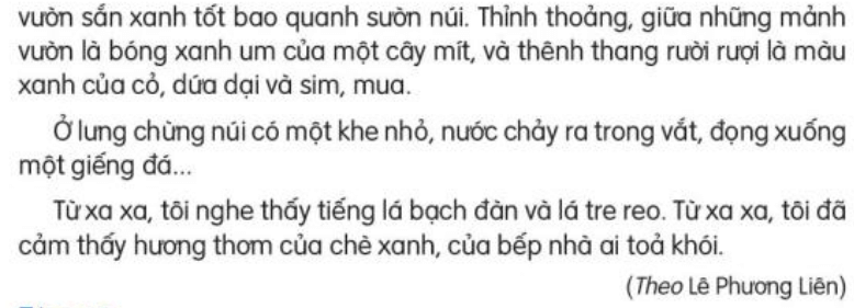 Đọc: Núi quê tôi trang 84, 85 Tiếng Việt lớp 3 Tập 2 | Kết nối tri thức