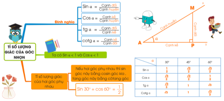 Giải Toán 9 Bài 2: Tỷ số lượng giác của góc nhọn  (ảnh 21)