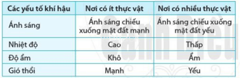 Dựa vào bảng 22.2, hãy cho biết khí hậu ở nơi có nhiều thực vật