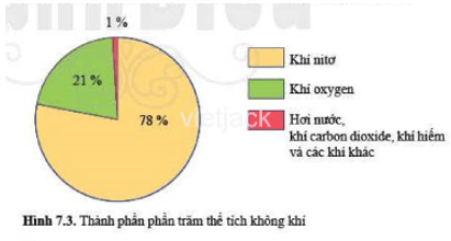 Dựa vào hình 7.3, em hãy nêu thành phần của không khí