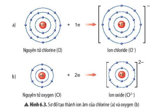  (ảnh 1)