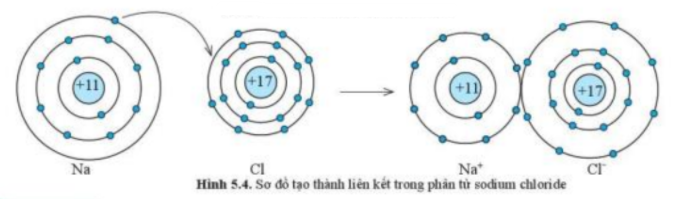  (ảnh 1)