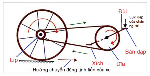 Giải thích được cách tác dụng lực khi bắt đầu đạp pê – đan để xe đạp 