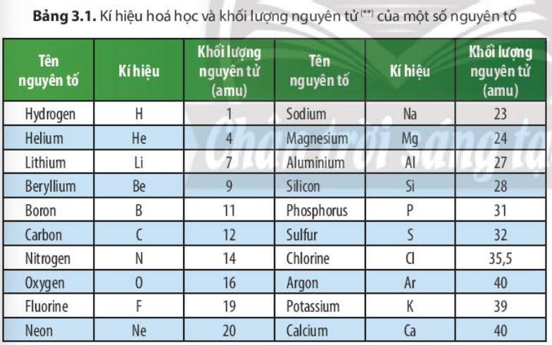  (ảnh 1)