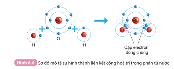  (ảnh 1)