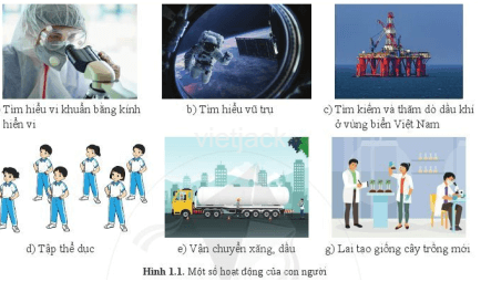 Hãy quan sát hình 1.1 và cho biết những hoạt động nào là hoạt động nghiên cứu