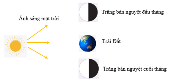  Hãy vẽ sơ đồ các vị trí của Mặt Trời, Mặt Trăng và Trái Đất khi chúng ta nhìn thấy