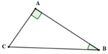 Trắc nghiệm Một số hệ thức về cạnh và góc trong tam giác vuông có đáp án