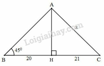 Giải Toán 9 Bài 2: Tỷ số lượng giác của góc nhọn  (ảnh 19)