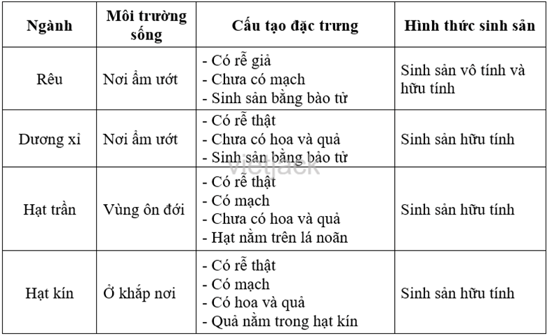 Thảo luận nhóm và hoàn thành các yêu cầu sau