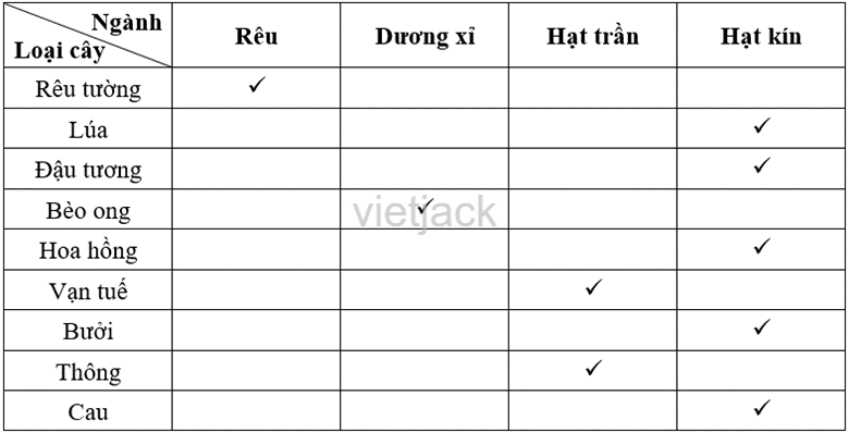 Thảo luận nhóm và hoàn thành các yêu cầu sau