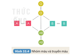 Thảo luận nhóm để thực hiện các yêu cầu và trả lời câu hỏi sau