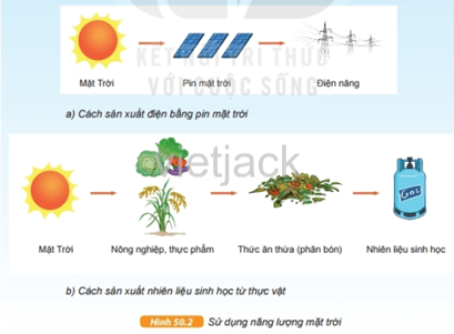 Quan sát hình 50.2 dưới đây và trả lời các câu hỏi