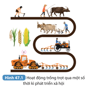 Đọc các thông tin trên và quan sát Hình 47.1 thảo luận để thực hiện các yêu cầu sau